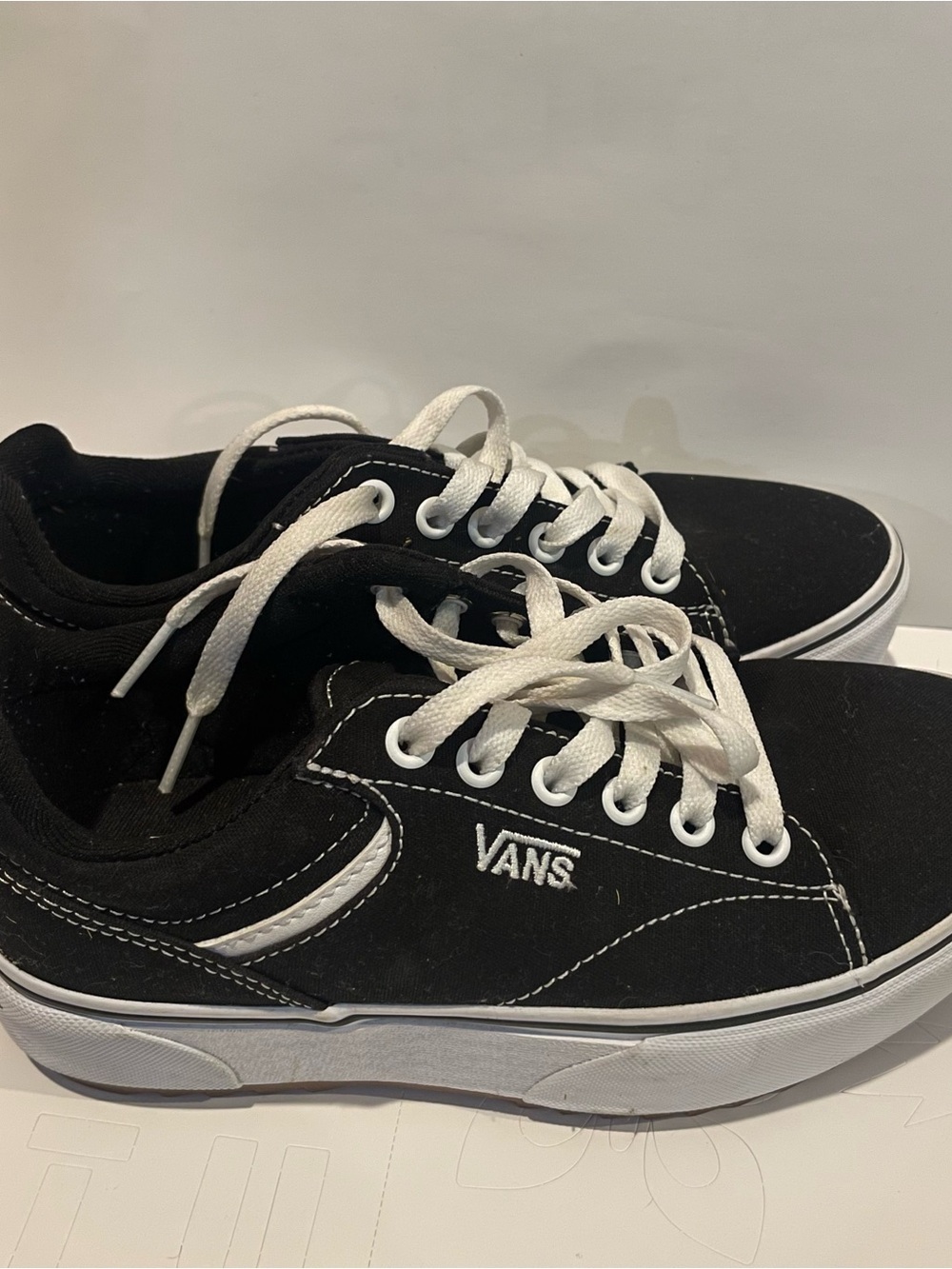 Vans Black and White Low-Top Canvas Skate Shoes